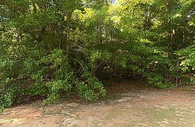 116 Grand Oaks Court