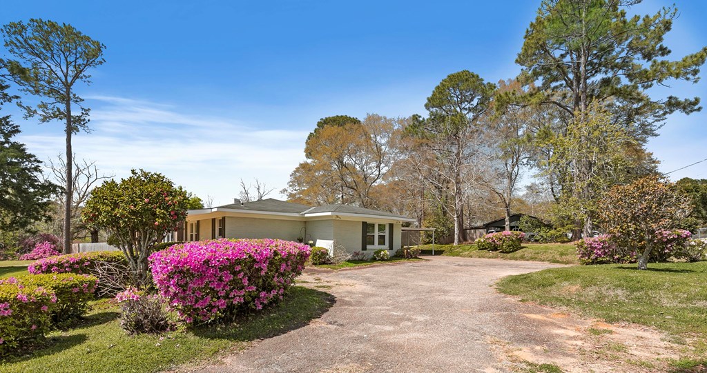 3310 County Road 203