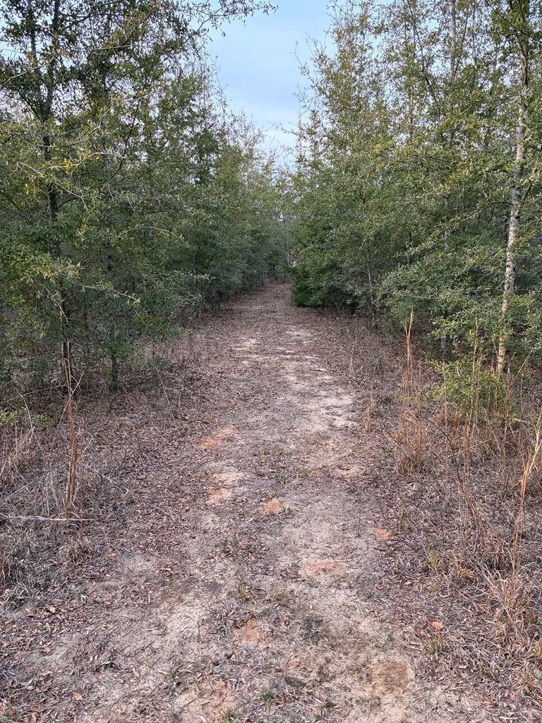 1788 Melton