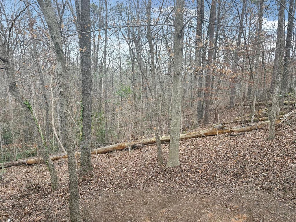 100 Ridgewood Lane