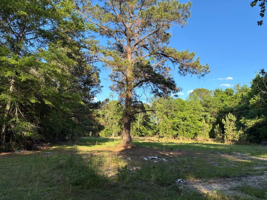 612 Edwin Reynolds Road
