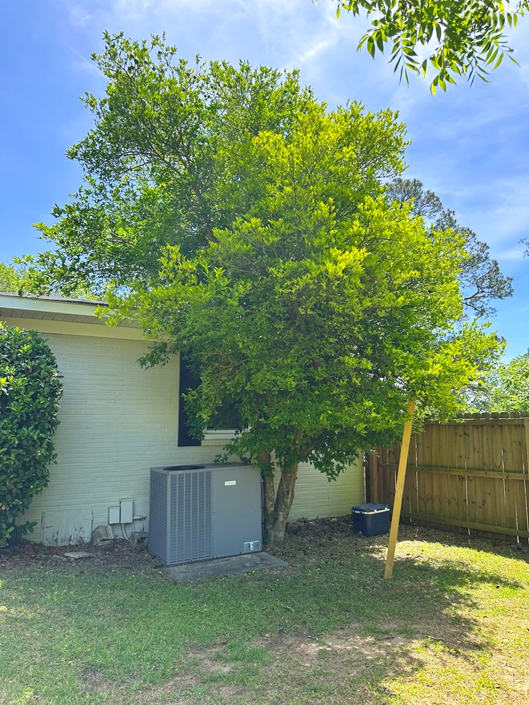 3310 County Road 203