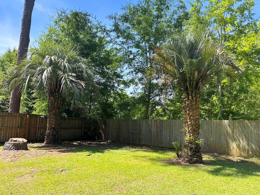 3310 County Road 203