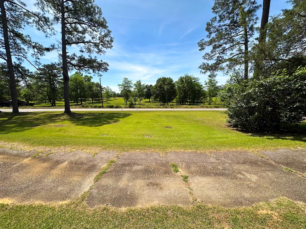3310 County Road 203