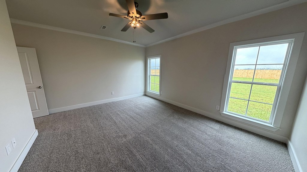 295 Adkinson