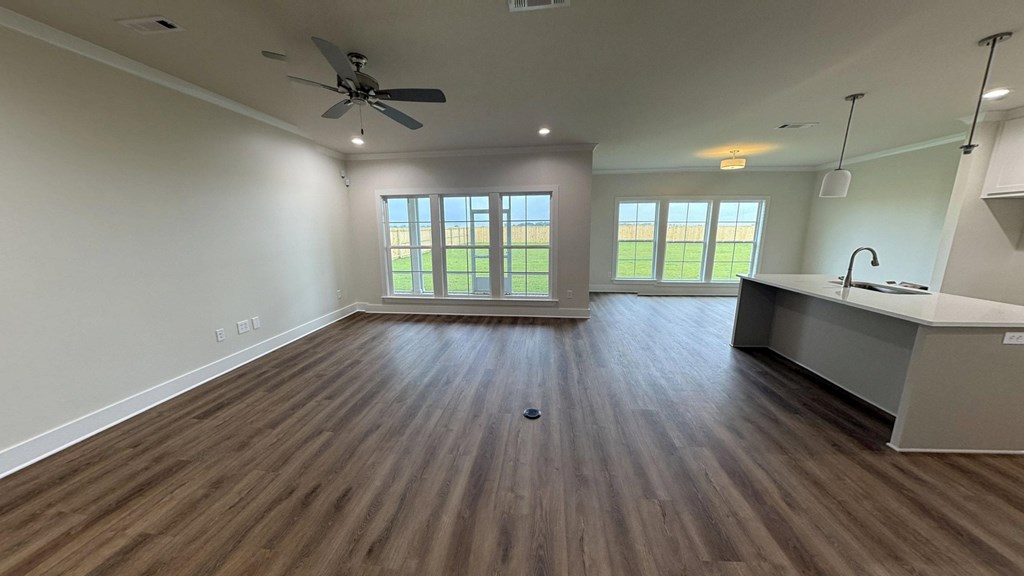295 Adkinson