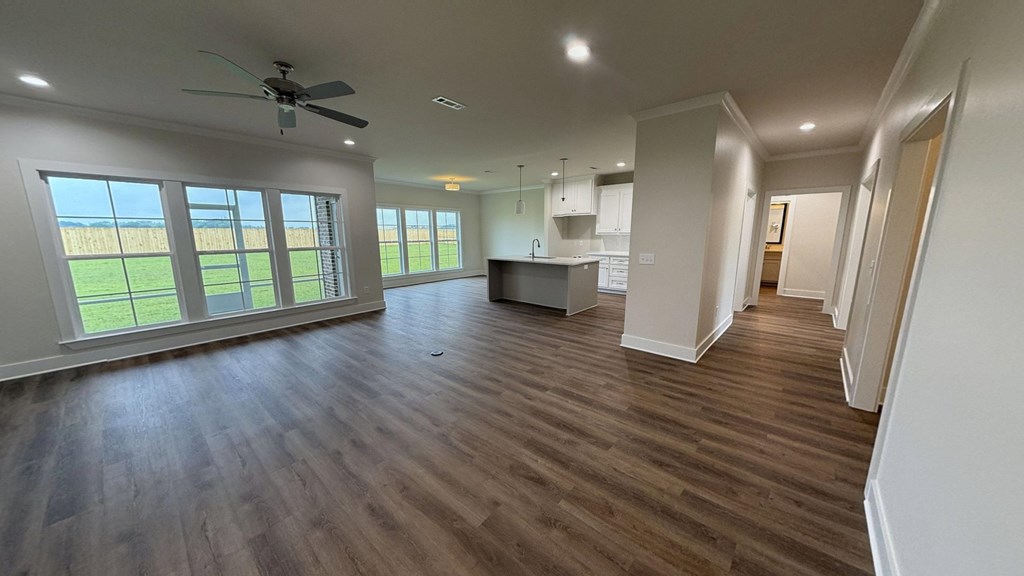 295 Adkinson