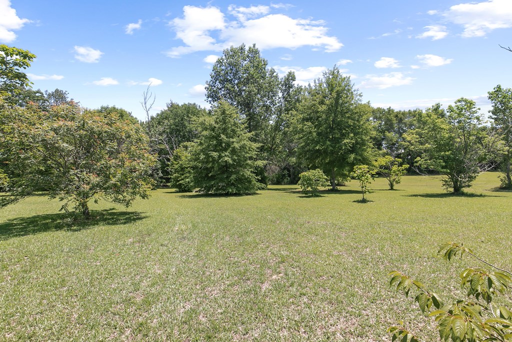 107 Willow Oaks Dr.