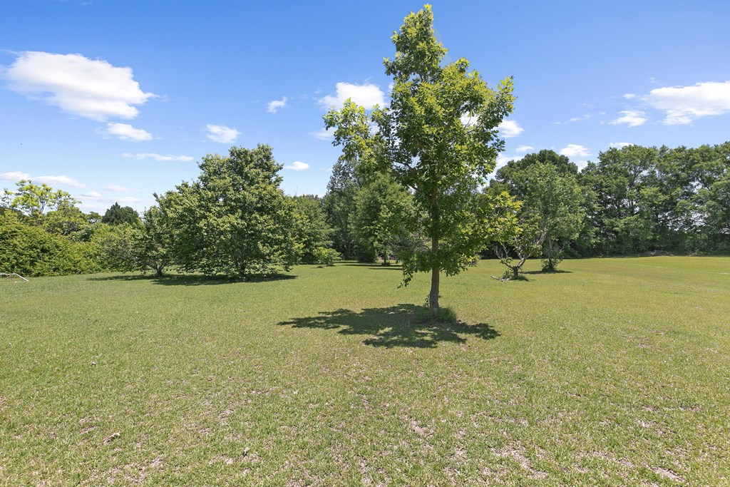 107 Willow Oaks Dr.