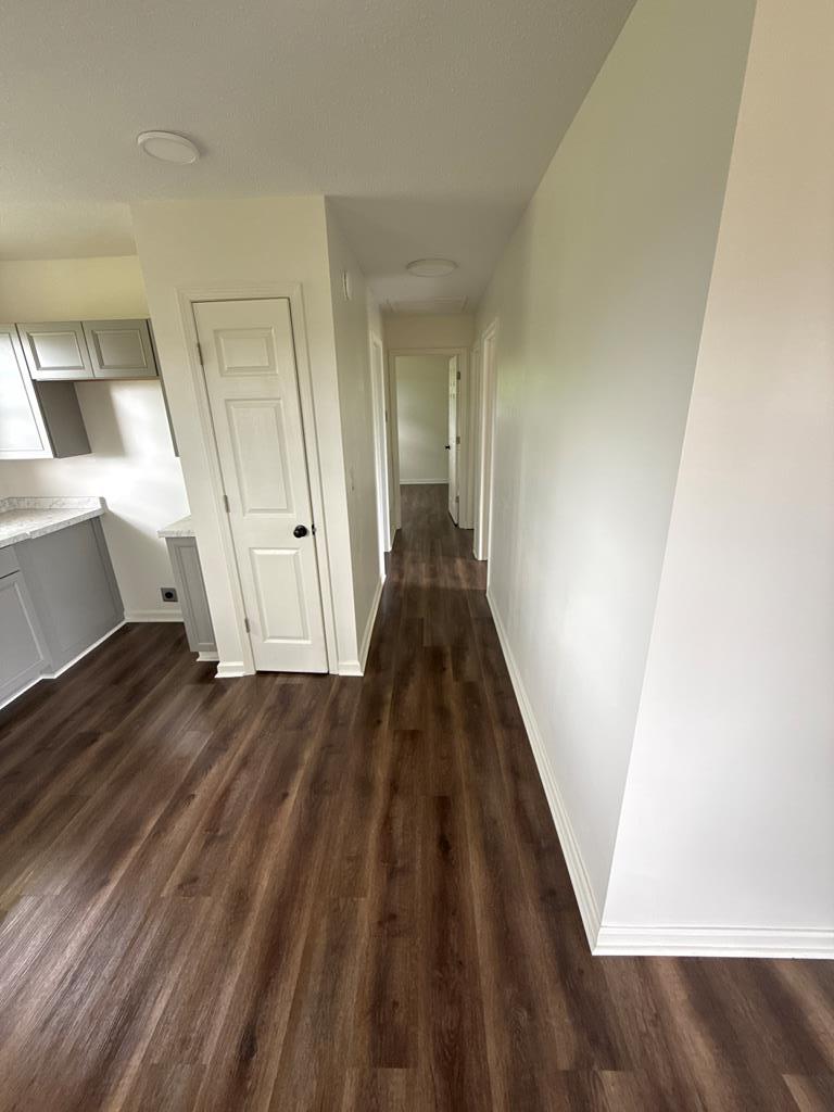 1123 Mccardle