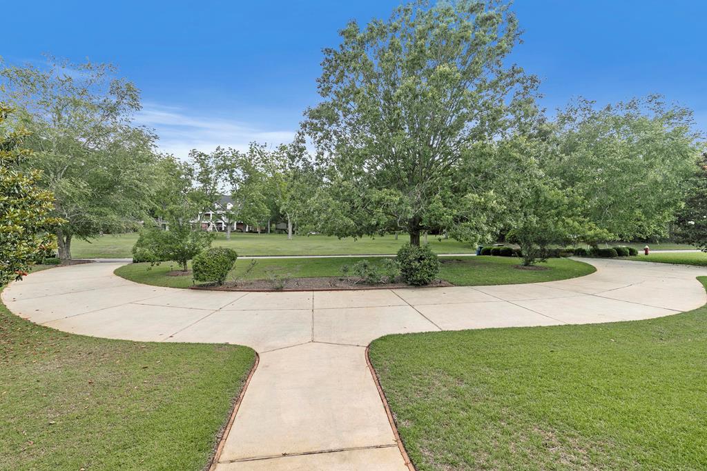 320 Bocage
