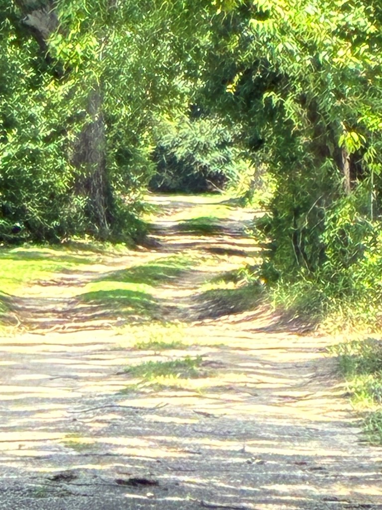 340&353 County Rd 414