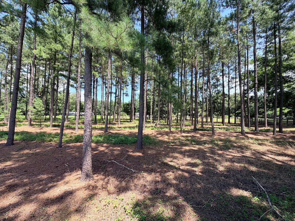 202 Billings Trail
