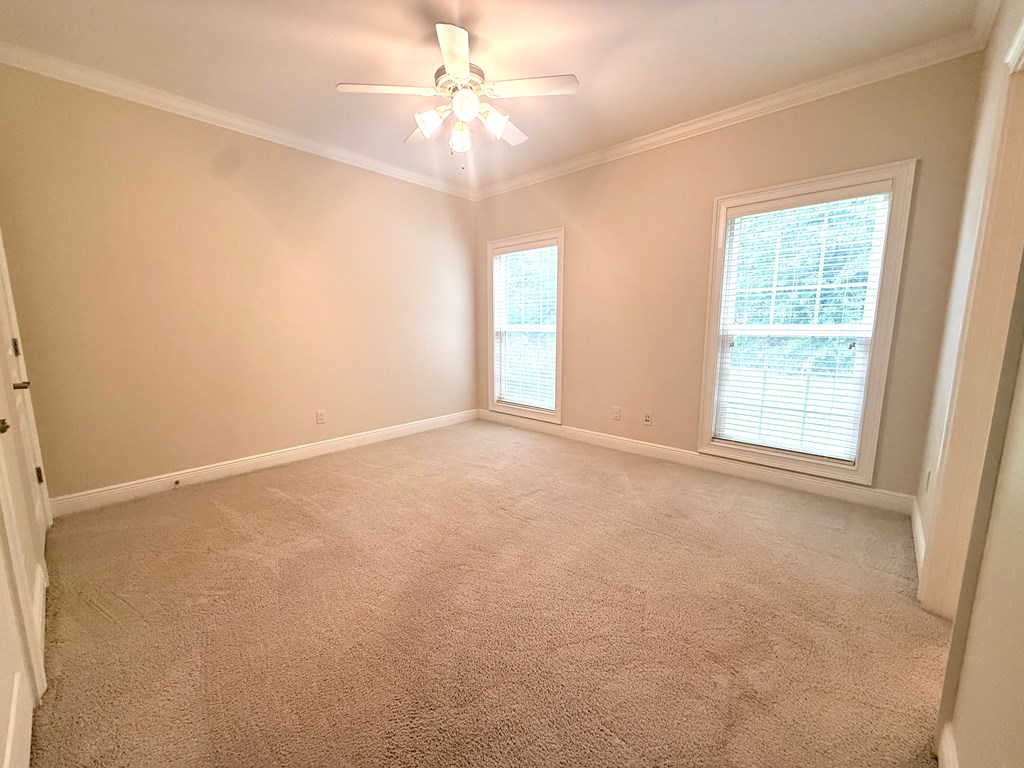 12 Harrington Ln