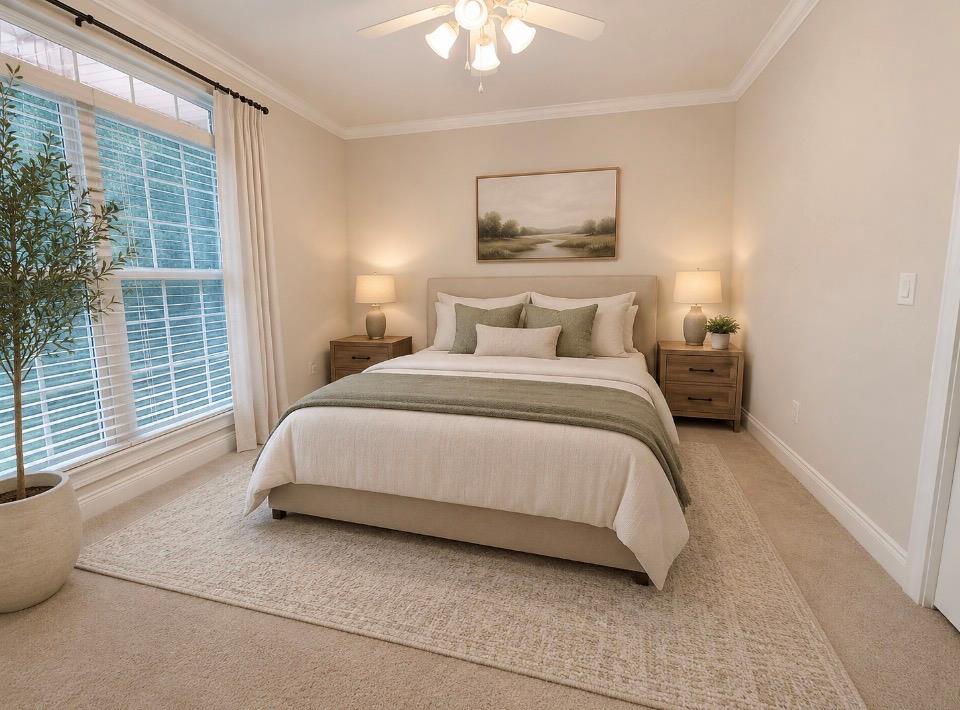 12 Harrington Ln