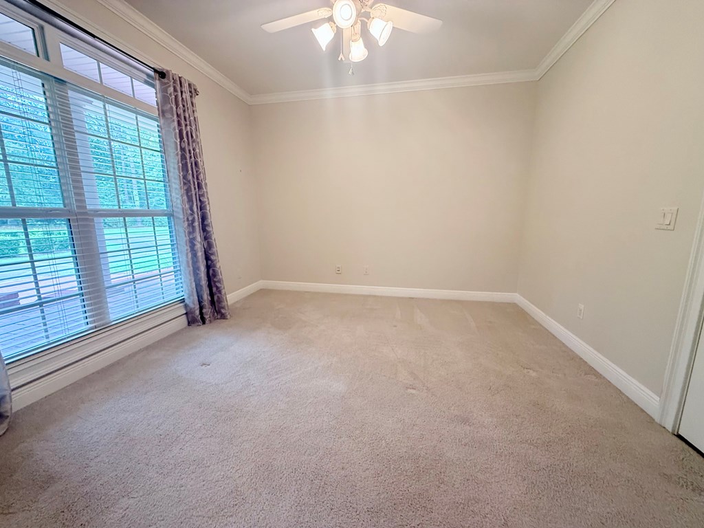 12 Harrington Ln