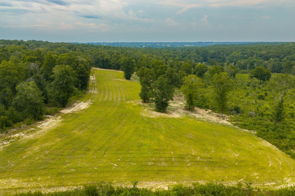 1138 Power Dam