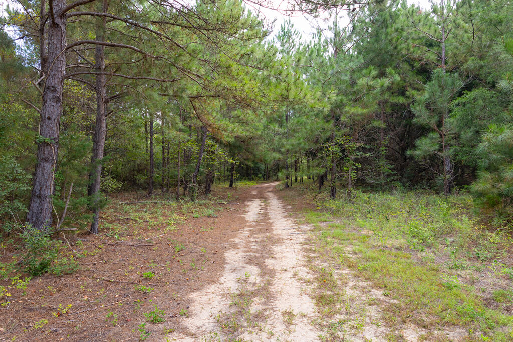 1195 Power Dam Road