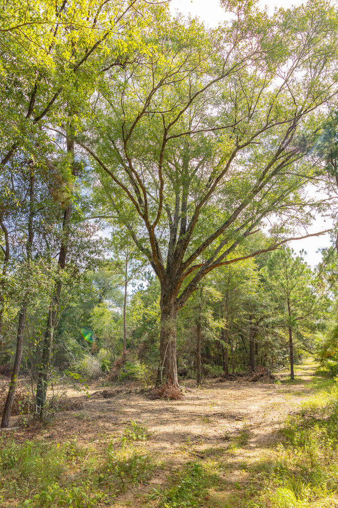 1195 Power Dam Road