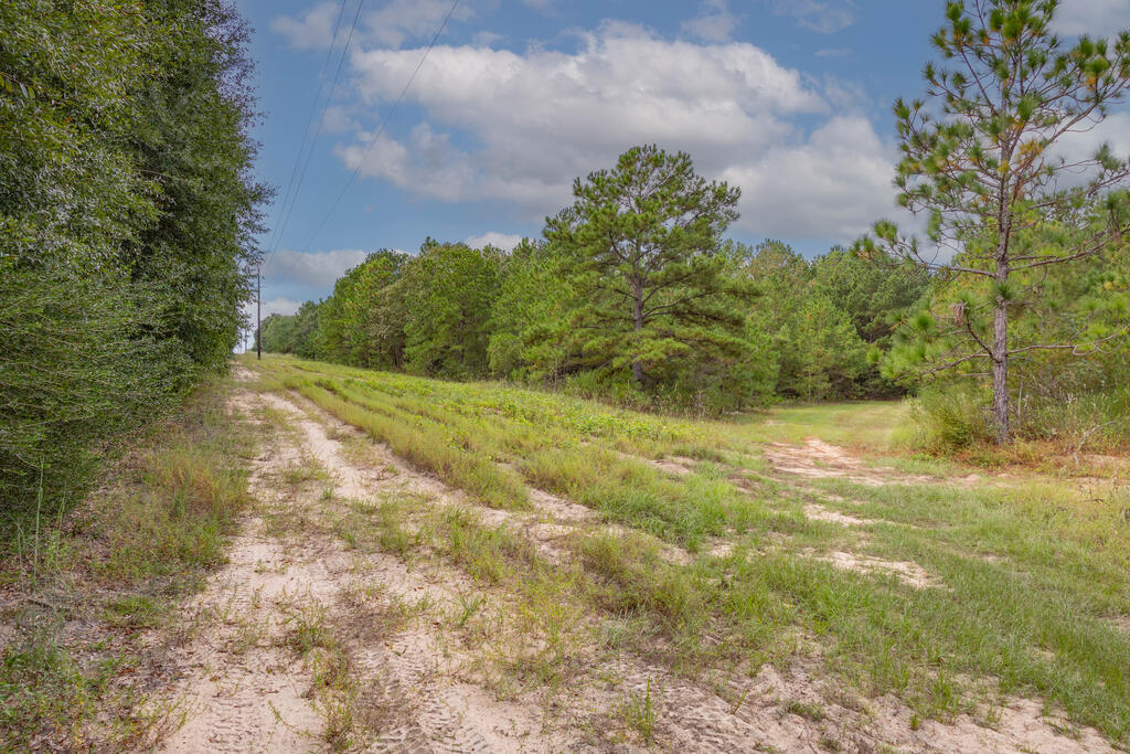 1195 Power Dam Road