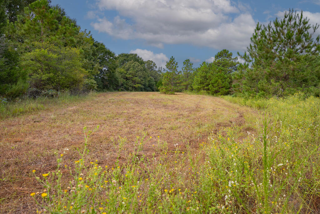 1195 Power Dam Road
