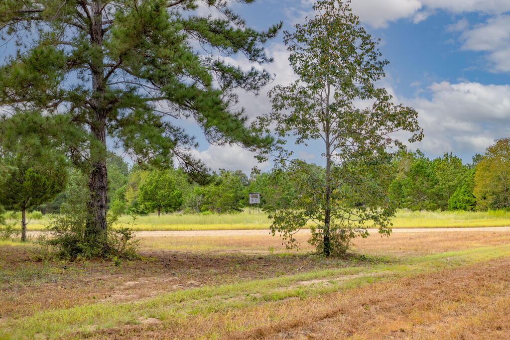 1195 Power Dam Road