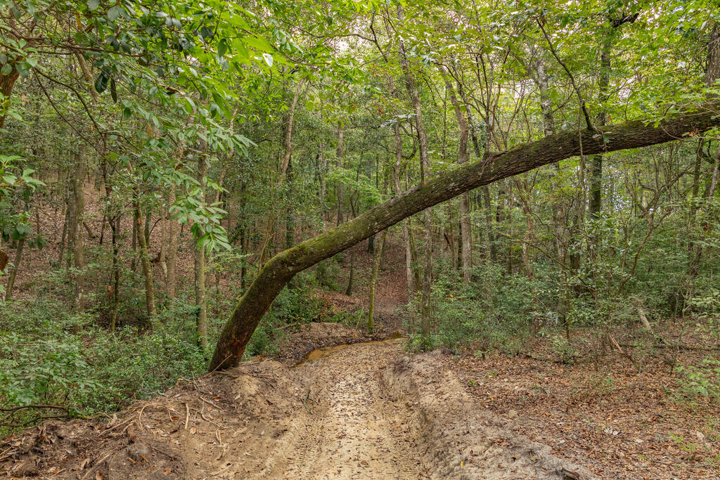 0 Power Dam Road