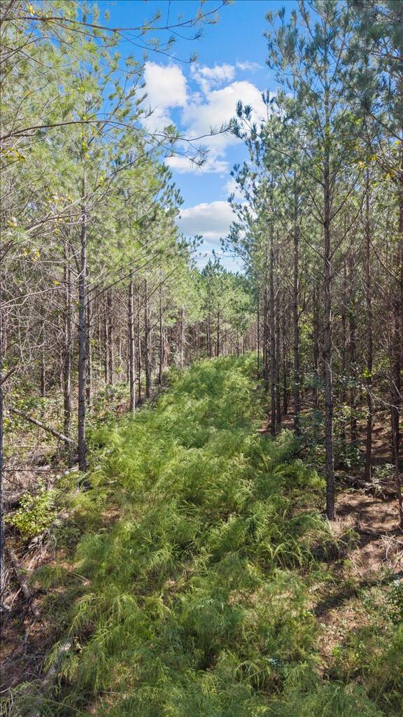 000 Willie Varnum Road