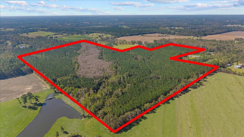 000 Willie Varnum Road Cottonwood AL