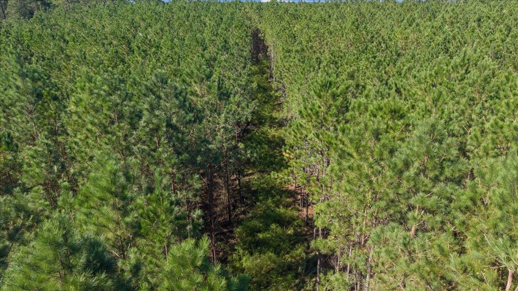 000 Willie Varnum Road