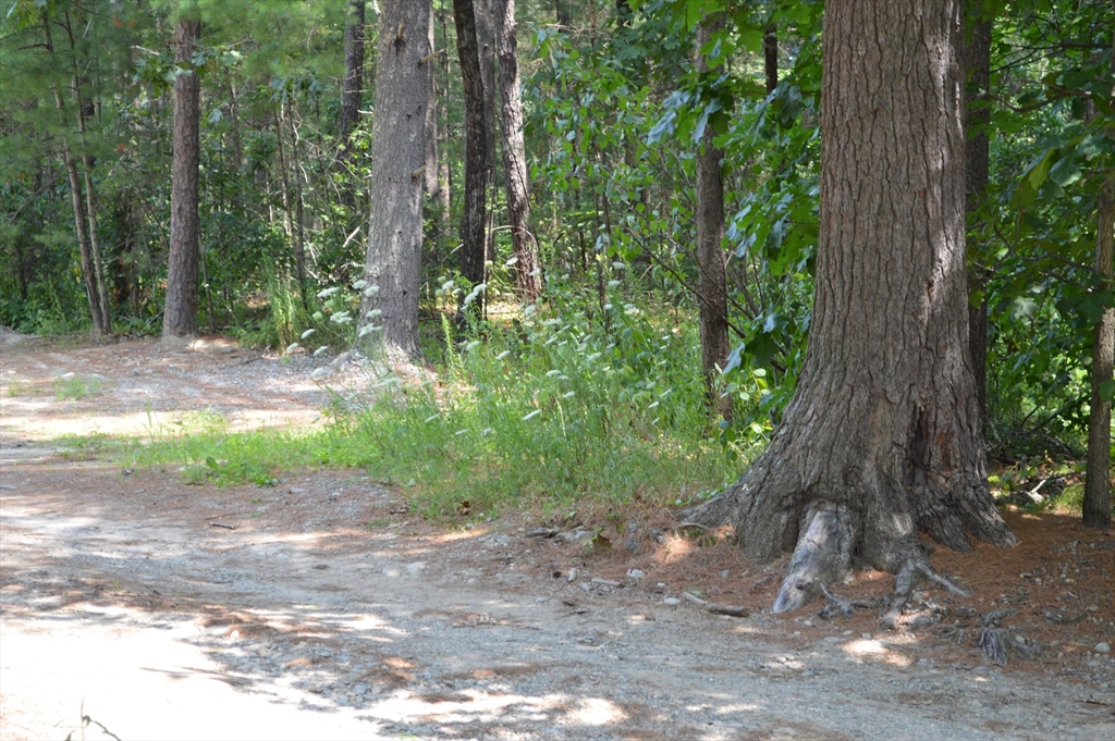 LOT 81 Carleton Rd