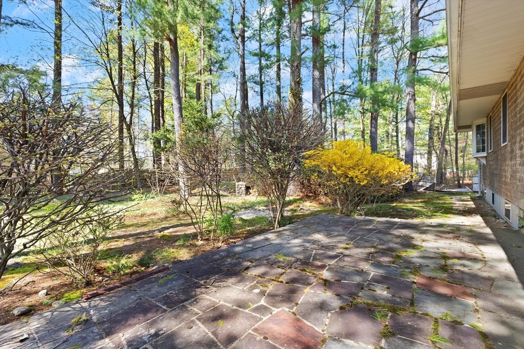 41 Pine Grove Ave
