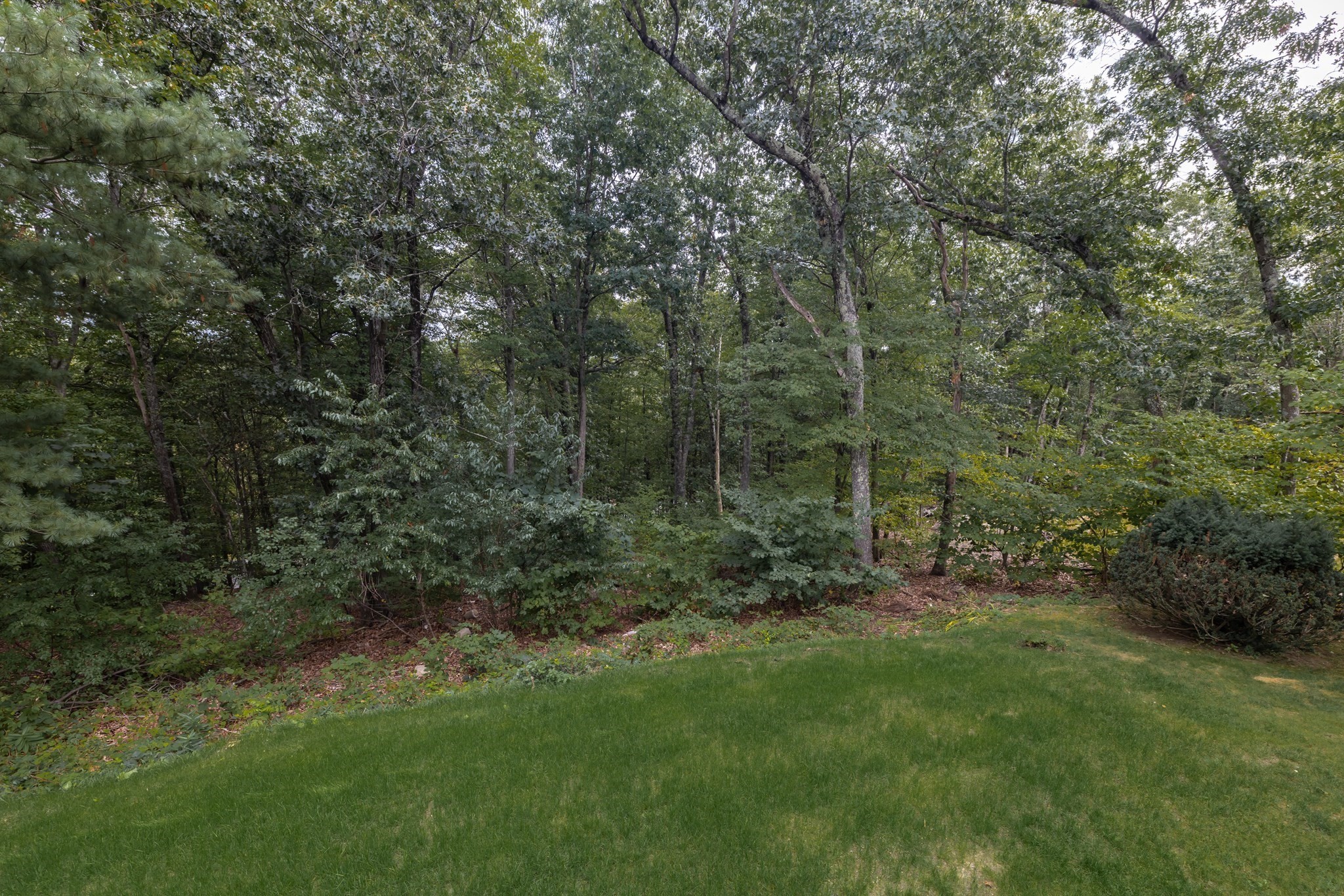 54 Checkerberry Ln