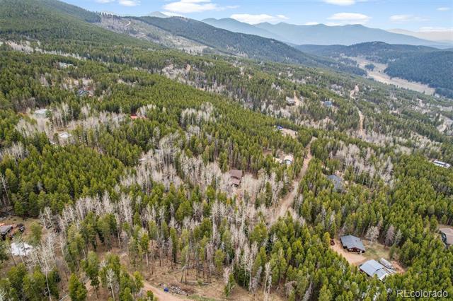 Ute Trail