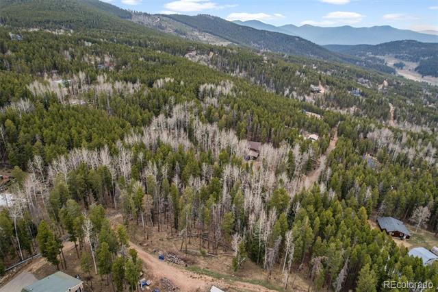 Ute Trail