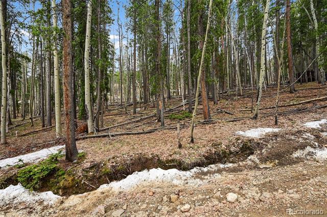 Ute Trail