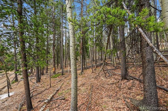 Ute Trail
