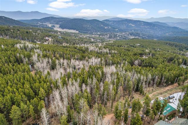 Ute Trail
