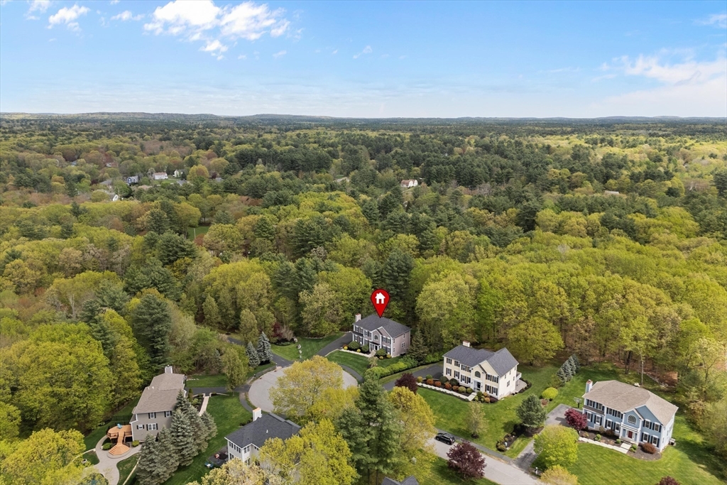 295 Webster Woods Ln