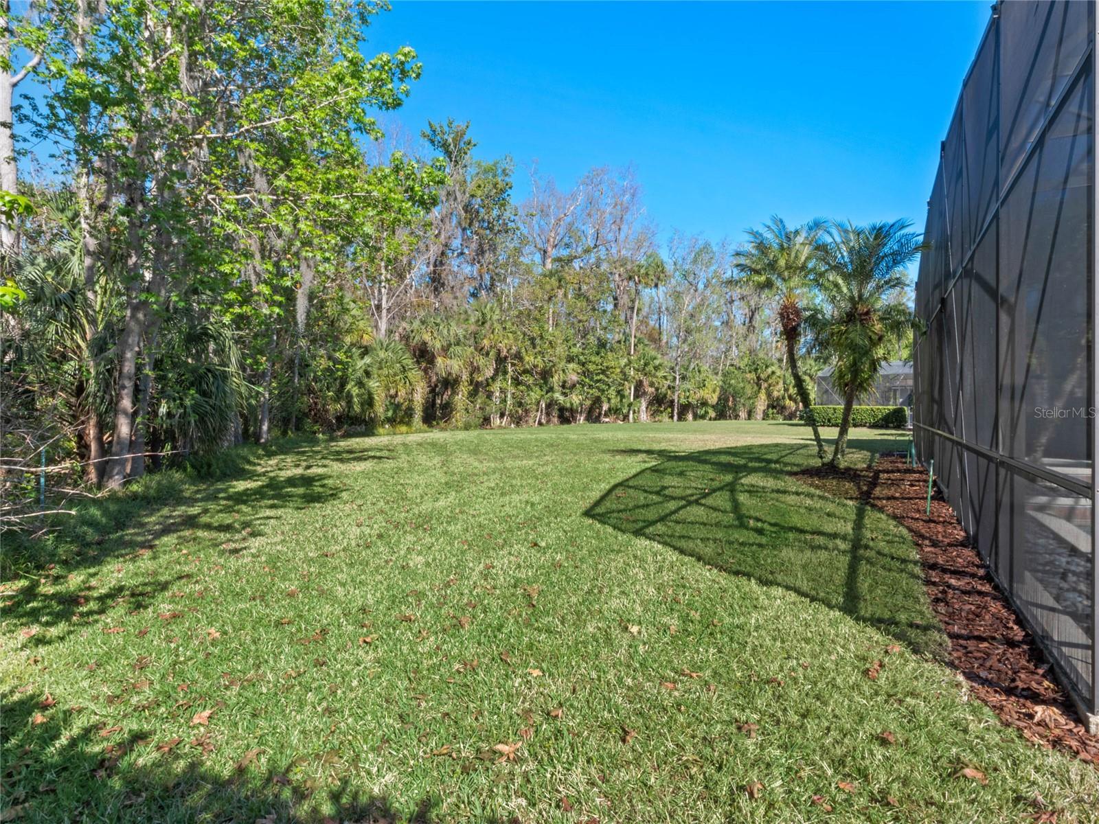 3352 HORSESHOE BEND CT