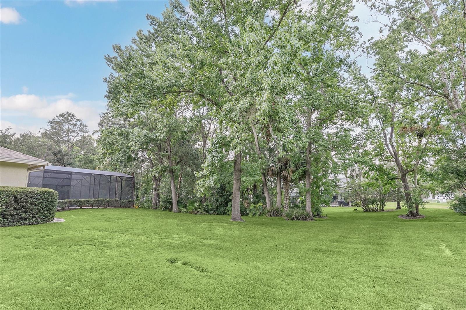 2216 SMOKETREE CT