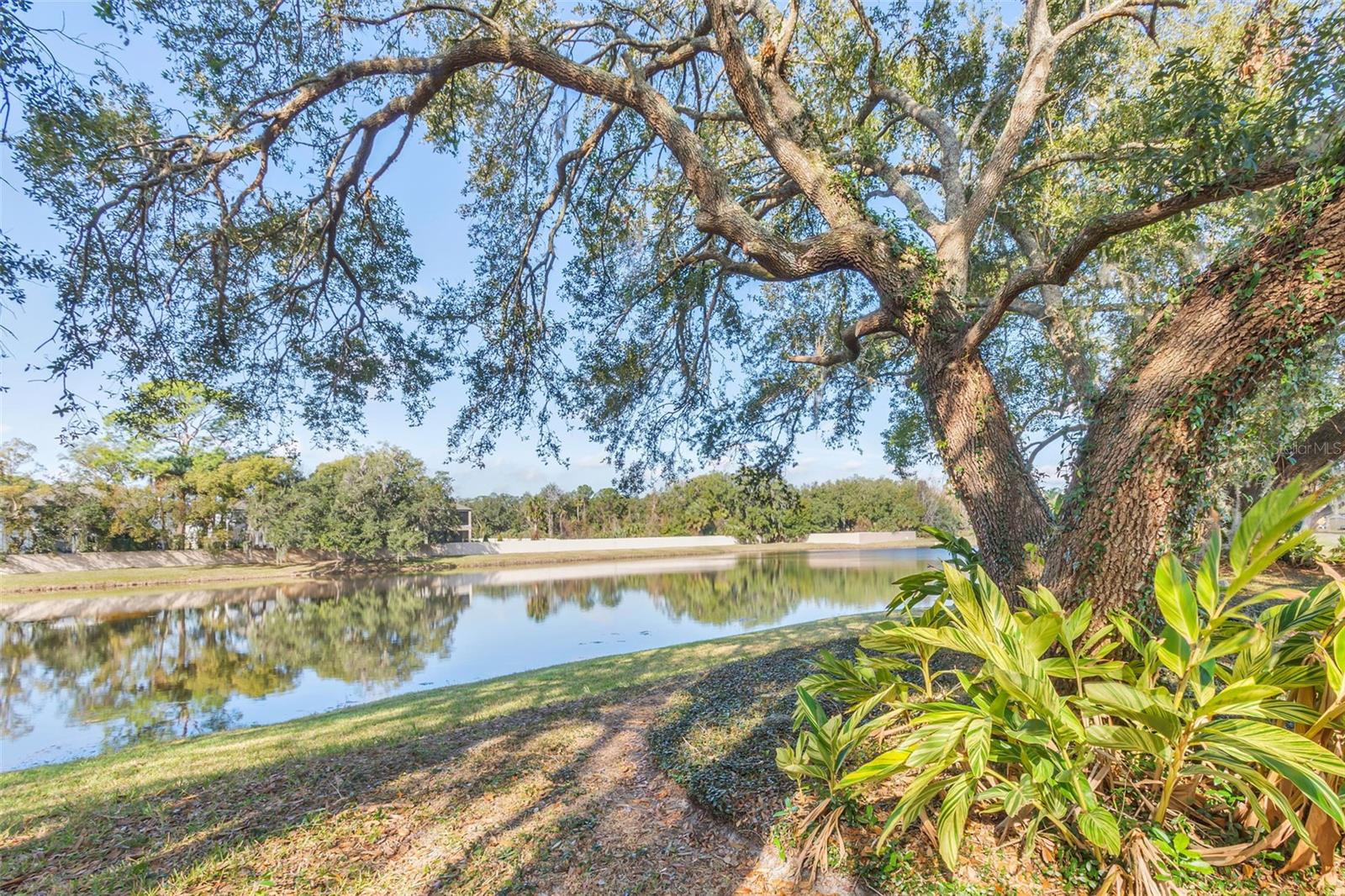 1554 SAINT REGIS PT