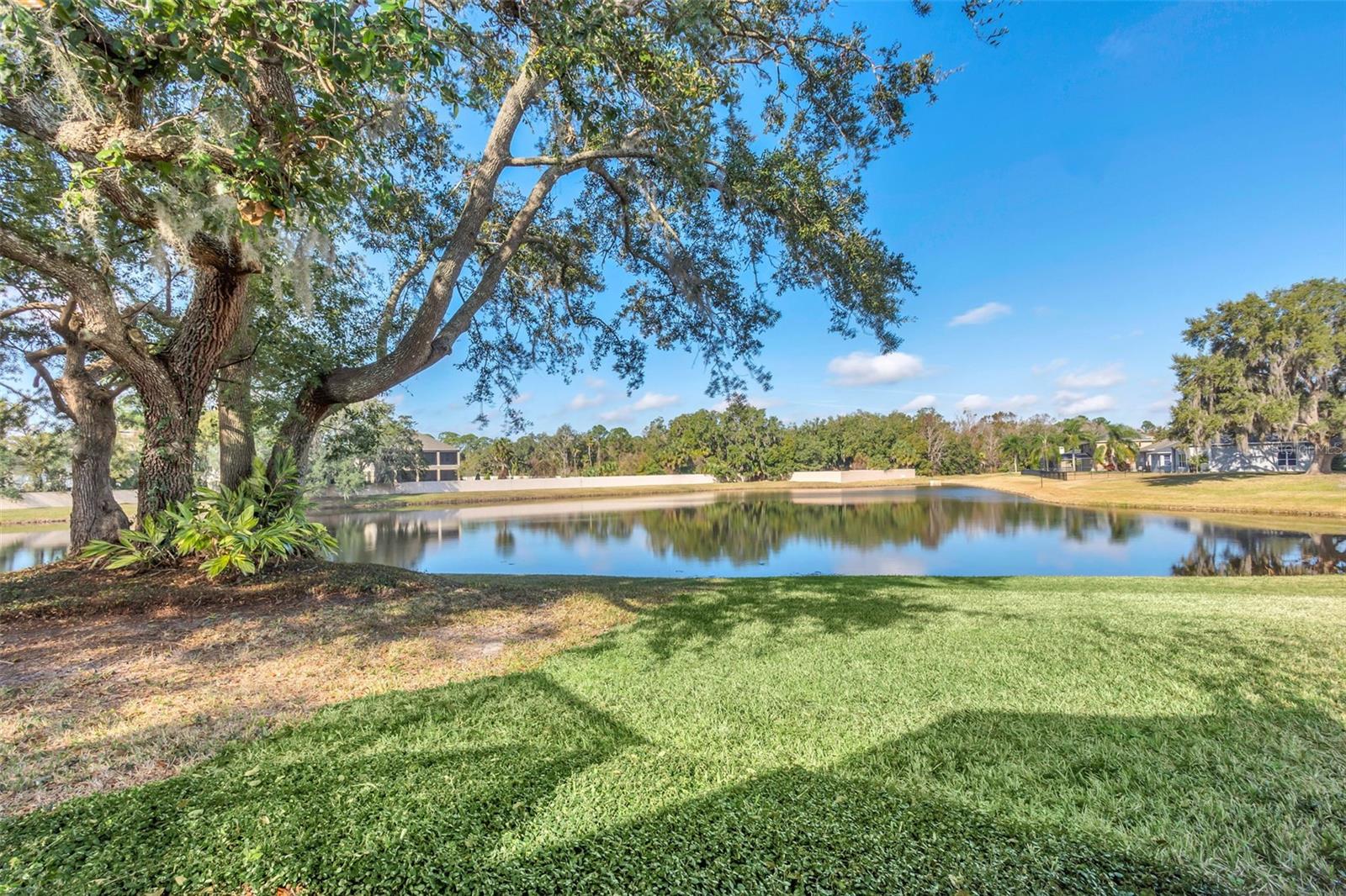 1554 SAINT REGIS PT