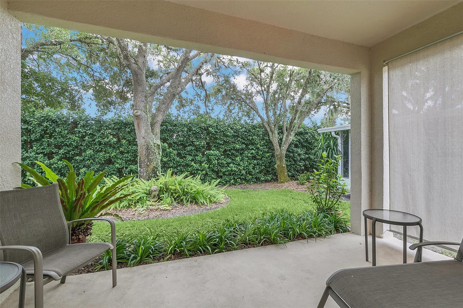 Covered patio with outdoor seating overlooking a leafy backyard and mature trees.