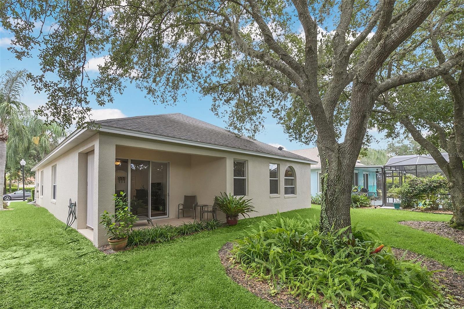 Rear of a beige home with a covered patio, shaded by a large oak tree.
