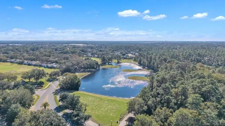 Aerial view of a neighborhood pond surrounded by trees, homes, and landscaped lawns.