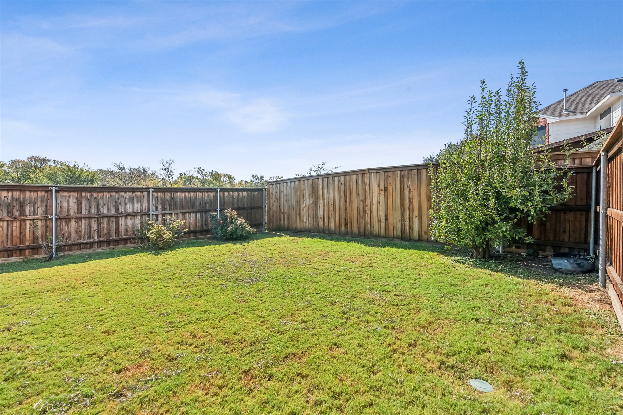 1501 Ector Drive