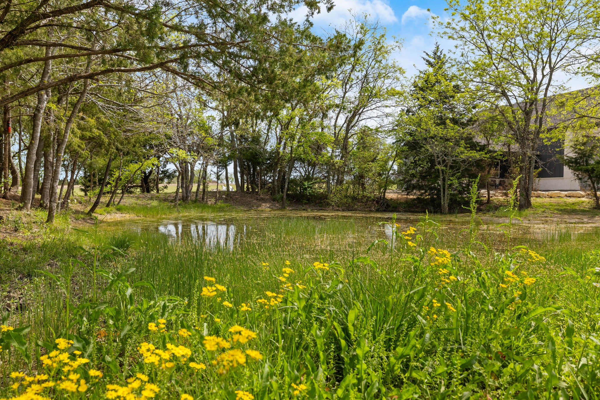 313 Ryker Lane