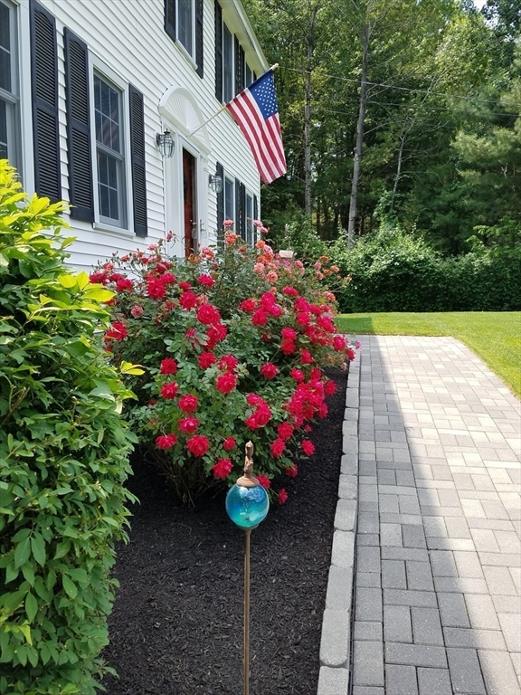 29 Shady Lane