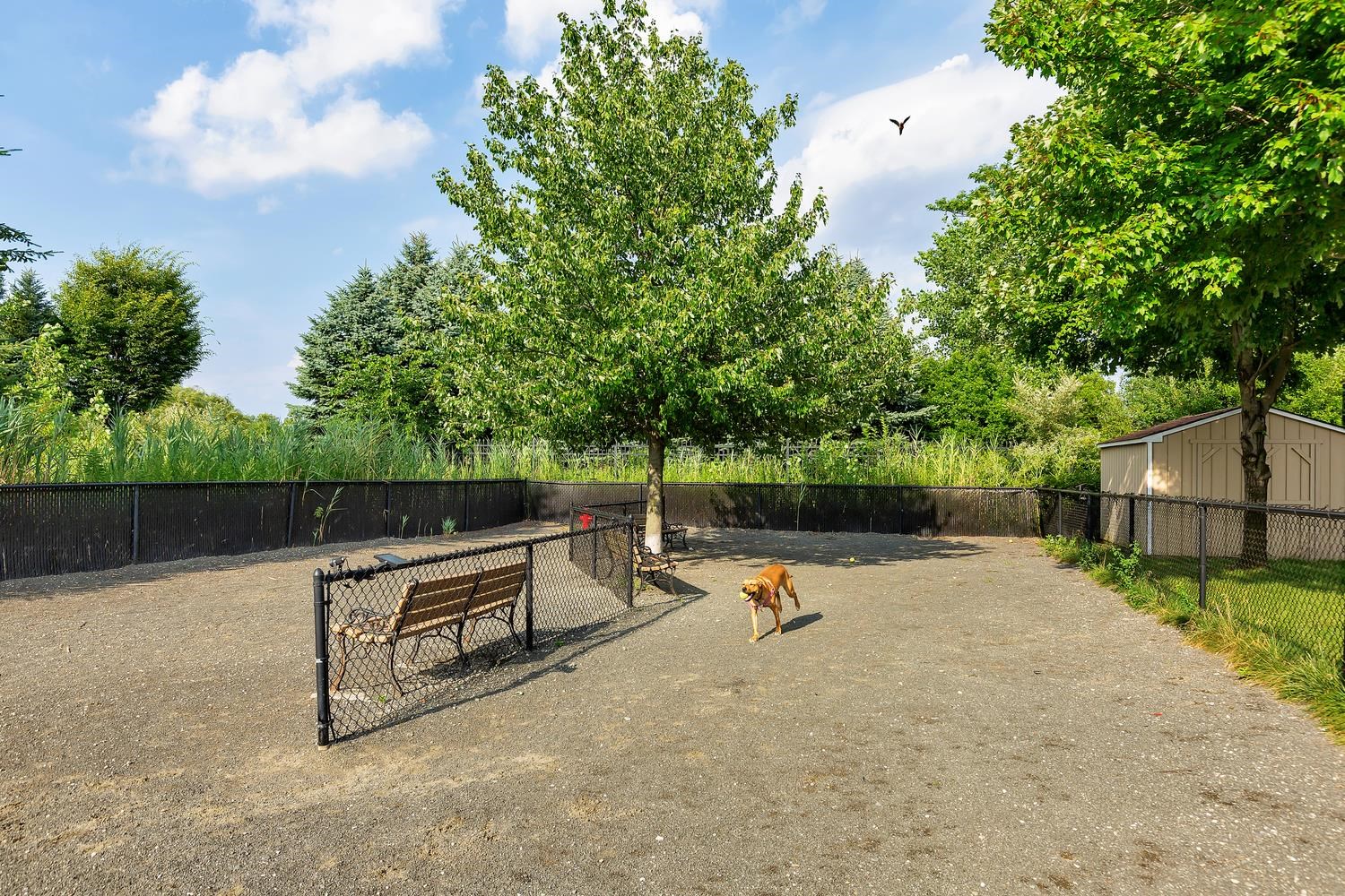 100 SHEARWATER CT EAST Unit: 31